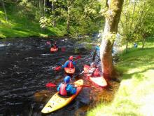 Paddles on the Tryweryn